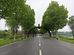 -洋湖国家湿地公园