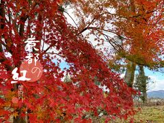 -醍醐寺