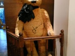 -济州岛泰迪熊博物馆