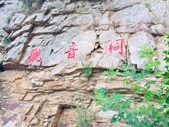 -金龙寺国家森林公园