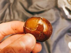 -陈记栗子(长宁路店)