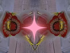 大堂-Ginger(兴国路店)