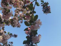 -元大都城垣遗址公园