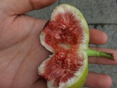 -荆川公园