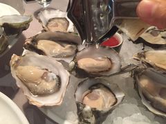 -Oyster Talks 四度蚝法餐厅
