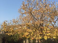 -北京天湖会议中心