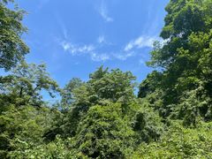 -青城山