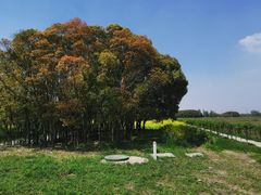 -嘉北郊野公园