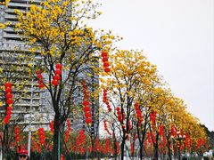 -洲头咀公园