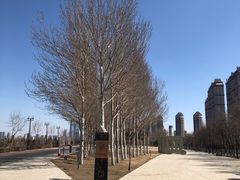 -哈尔滨音乐公园