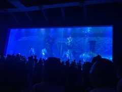 -波塞冬旅游度假区