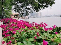 -珠江夜游广州塔·中大码头