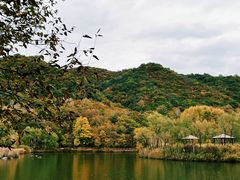 -玉渡山自然风景区