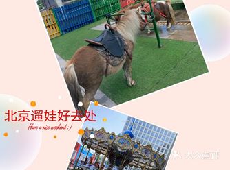 北京遛娃好去处，网红萌宠好可爱，安排！