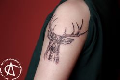 -AC TATTOO 纹身