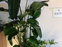 -湯系·煲汤手艺人(东二环泰禾广场店)