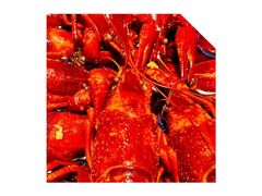 -安答龙虾·烧烤·大排档