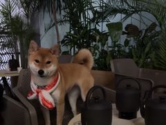 -tea'stone (万象天地店)