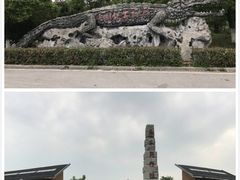 -中国扬子鳄村