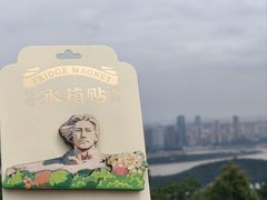 -茶颜悦色(岳麓山顶店)
