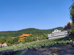 -华西村