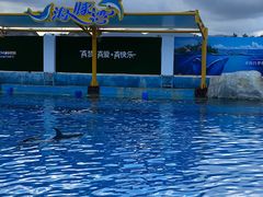 -三亚海昌梦幻海洋不夜城