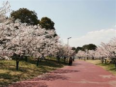 -幕燕滨江·长江观音景区