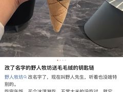 -野人先生现做冰淇淋(北京环宇荟店)