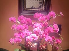 -霖公馆SPA·足道(普善路店)