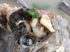 -河鱼鲜特色农家院