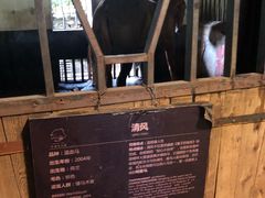 -梦娜斯庄园