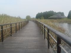 -太湖湖滨国家湿地公园-停车场