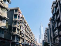 -紫峰大厦