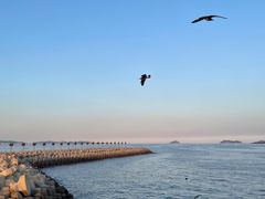 -东港音乐喷泉广场