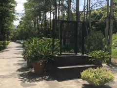 -瑞穗牧场
