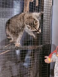 -酷嗒动物文化乐园(cutezoo西溪乐天城店)