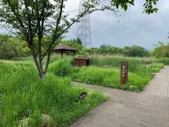 -长田漾湿地公园