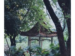 -晓港公园