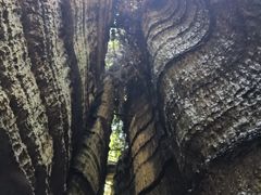 -梭布垭石林景区