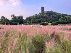 -红花山公园