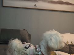 -沐森 •疗愈头疗馆(打浦桥店)