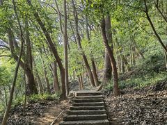 -上海佘山国家森林公园天马山园