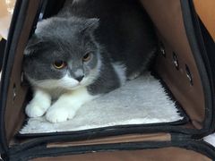 -联合动物医院(光谷诊疗中心)