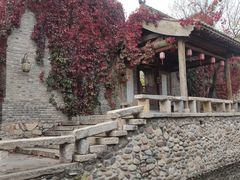 -古北烤梨