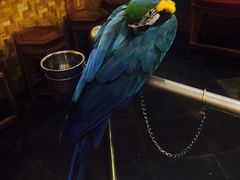 那家小馆(中关村店)-那家小馆•北京菜•烤鸭(中关村店)