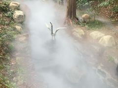 -东明山森林公园