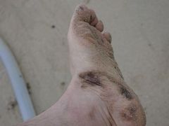 -西涌国际滨海旅游区