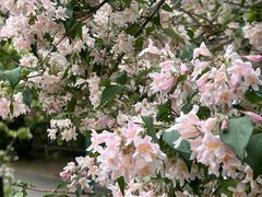 -国家植物园南园