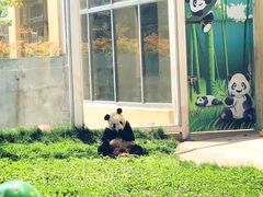 -西安秦岭野生动物园