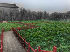 -大明幻境第一城